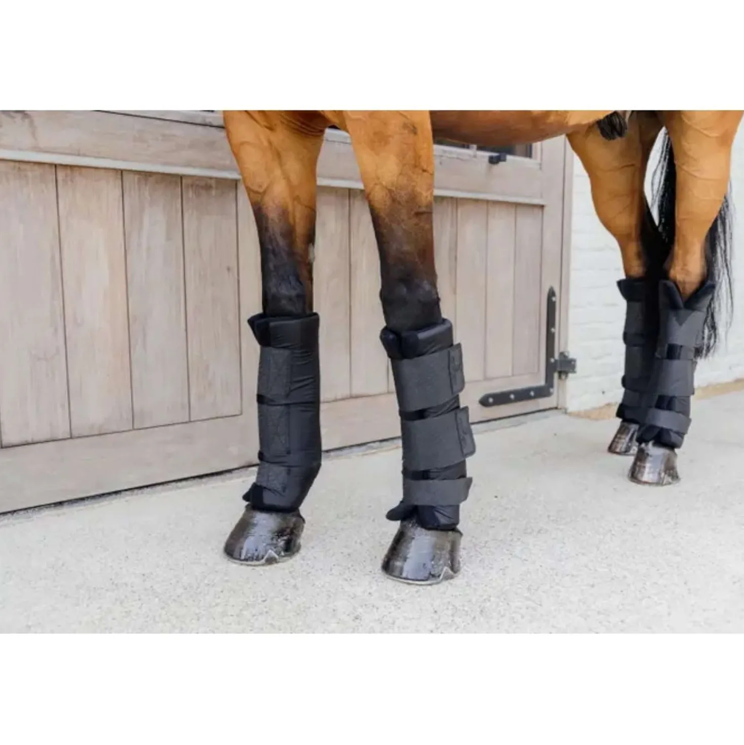 Kentucky Stalbeschermers PROtect Classic Voor Zwart