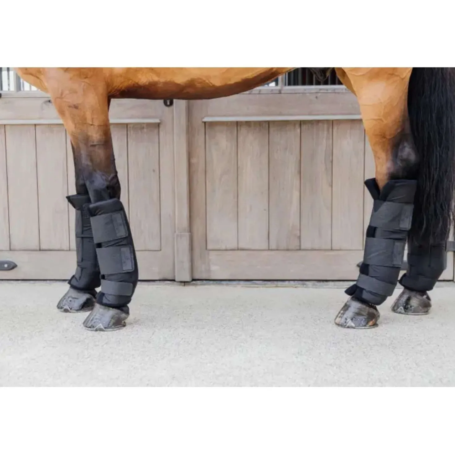 Kentucky Stalbeschermers PROtect Classic Achter Zwart