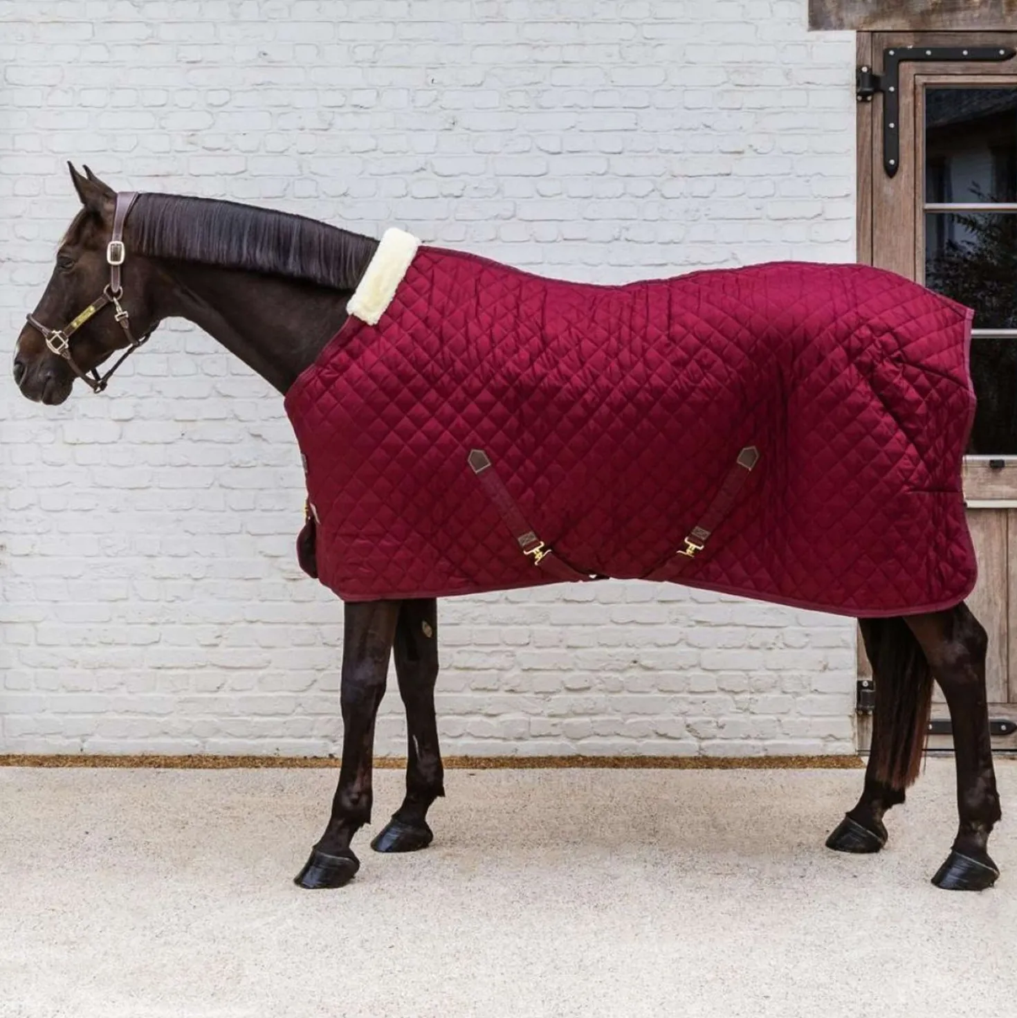 Kentucky Staldeken 400g Bordeaux