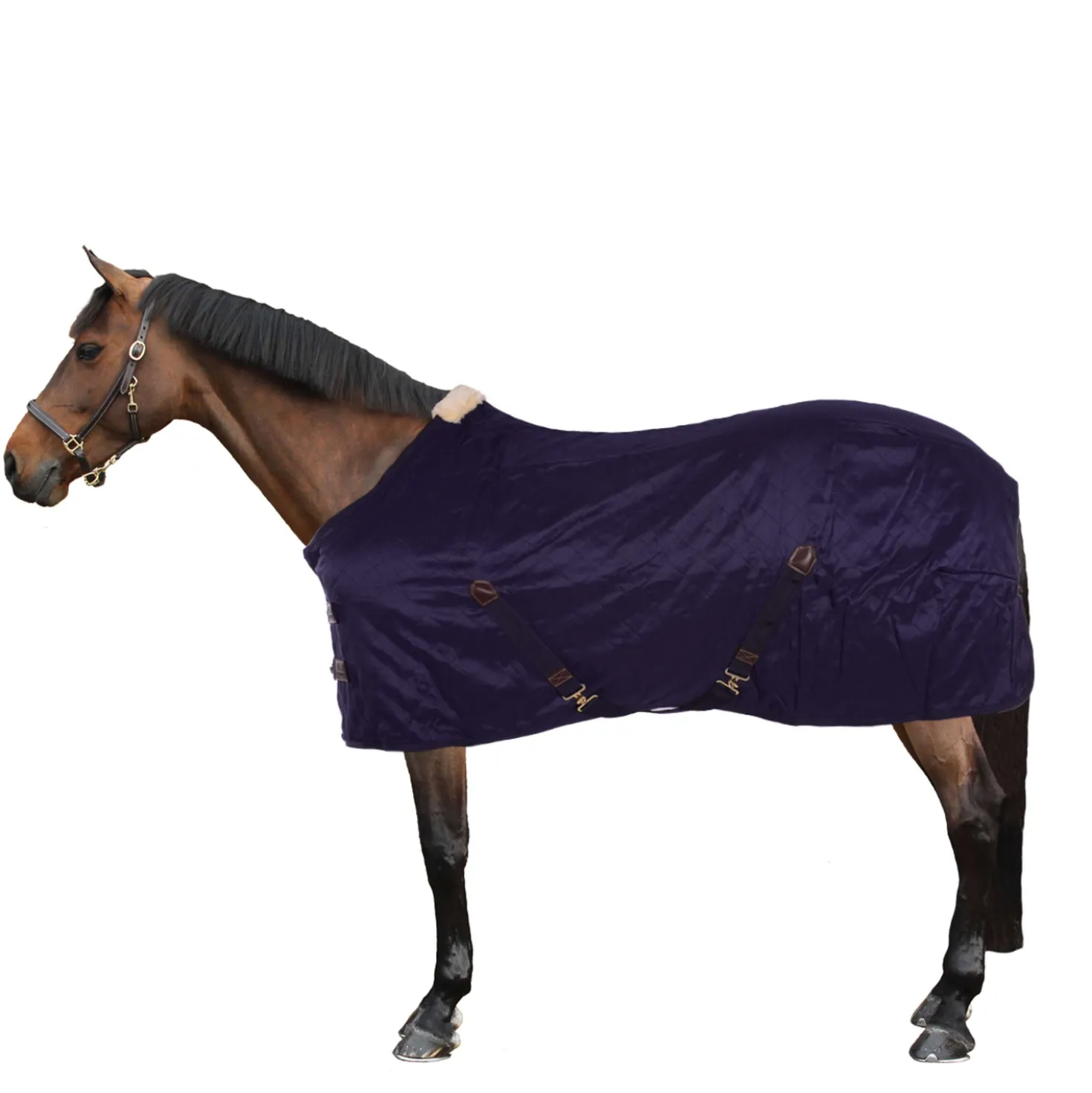 Kentucky Staldeken 0g Navy