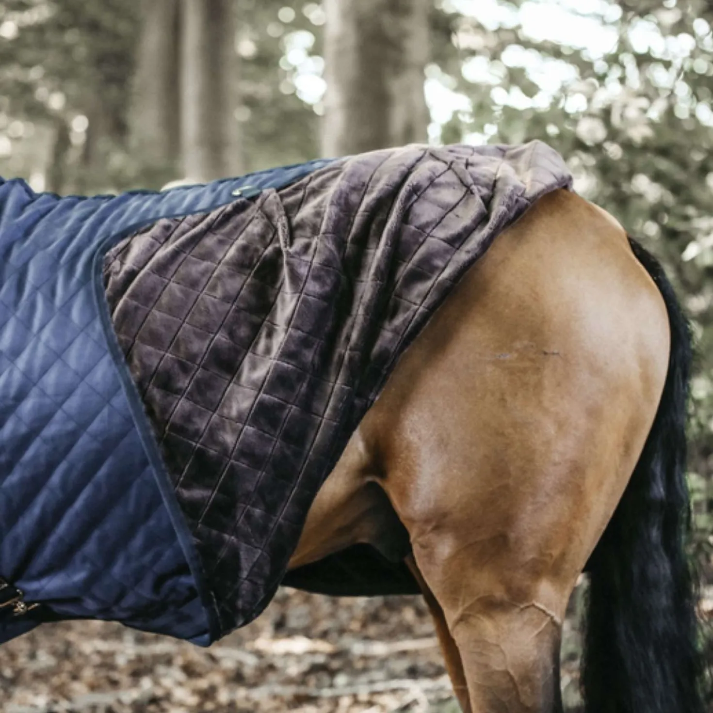 Kentucky Staldeken 0g Navy