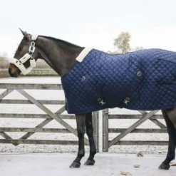 Kentucky Staldeken 400g Navy