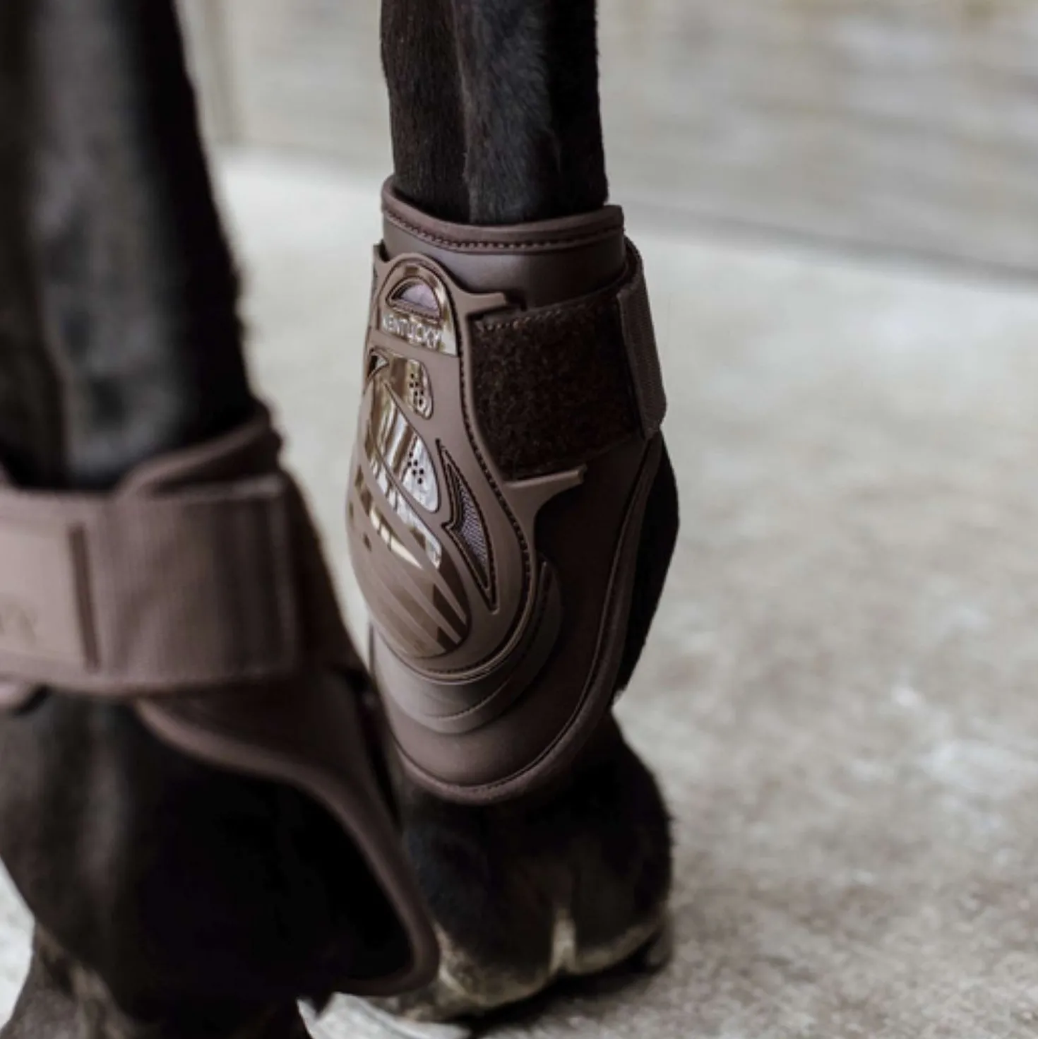 Kentucky Strijklappen Deep Bruin