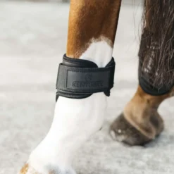 Kentucky Strijklappen Young Horse Zwart