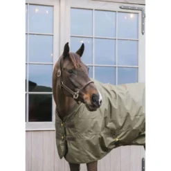 Kentucky Turnout All Weather 160g Kaki