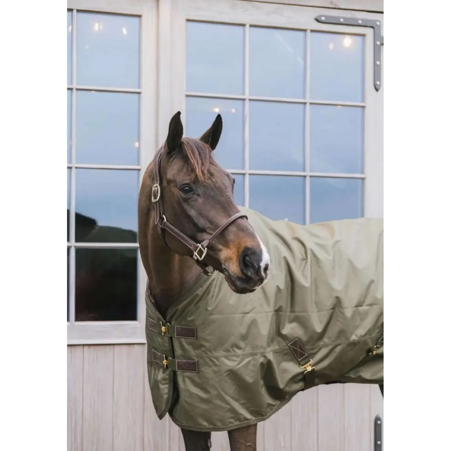 Kentucky Turnout All Weather 160g Kaki