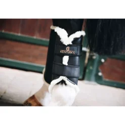Kentucky Turnout Boots Achterbenen Black