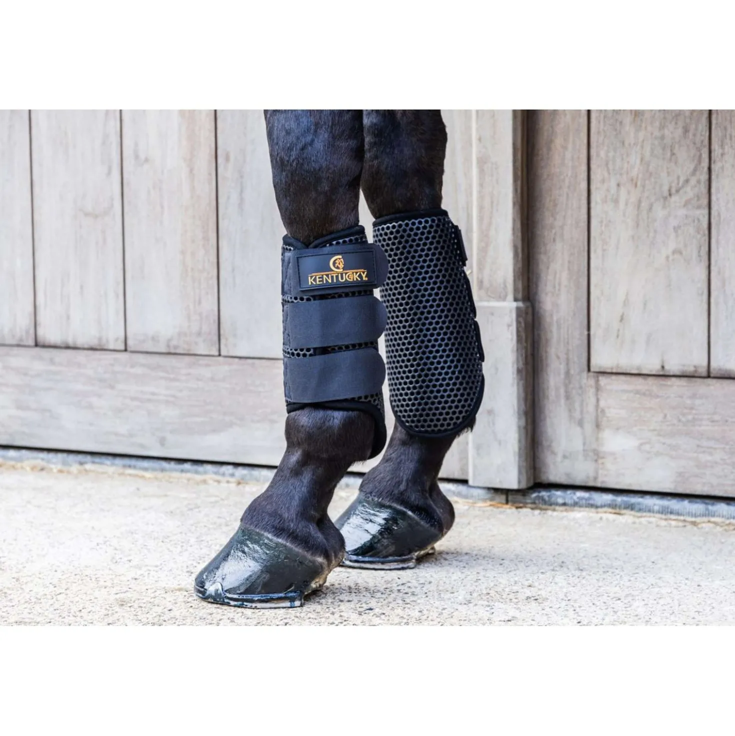 Kentucky Turnout Boots ProAIR