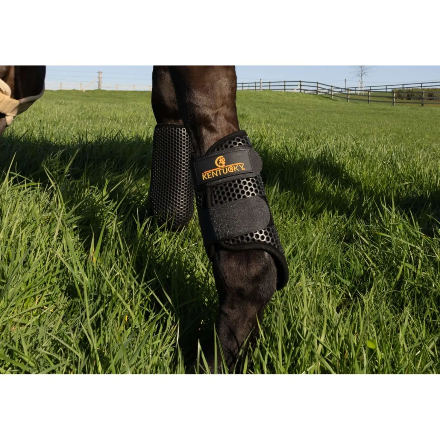 Kentucky Turnout Boots ProAIR