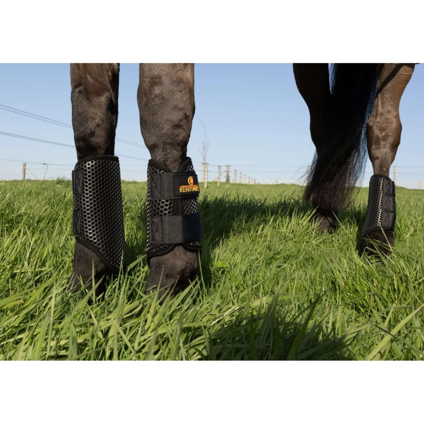 Kentucky Turnout Boots ProAIR