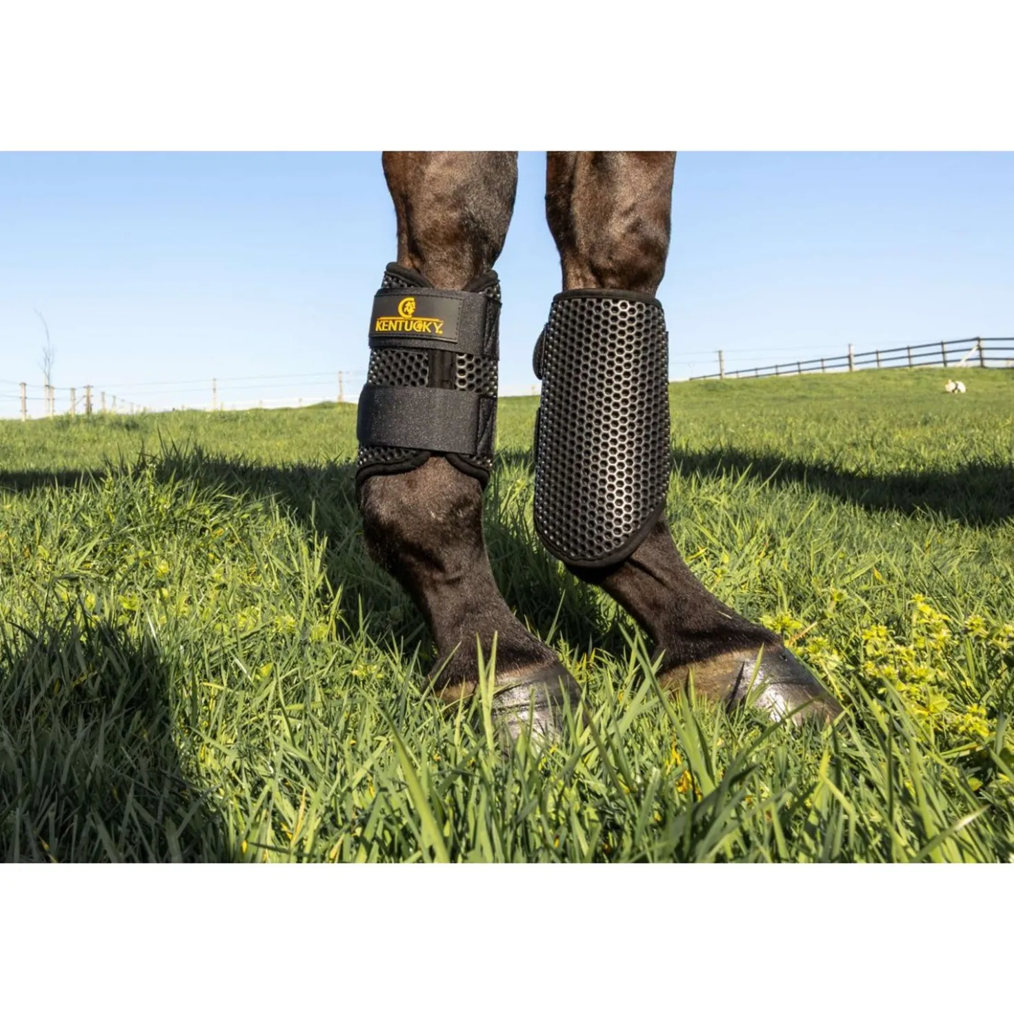 Kentucky Turnout Boots ProAIR