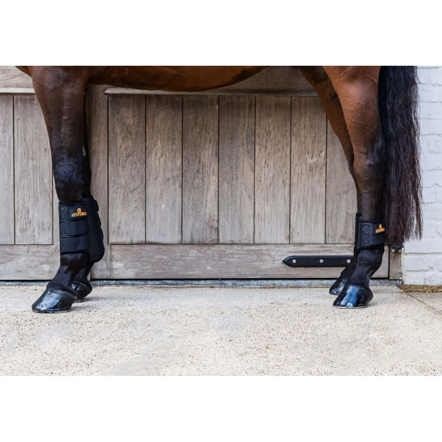 Kentucky Turnout Boots ProAIR