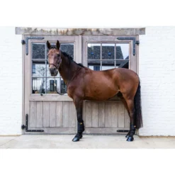 Kentucky Turnout Boots ProAIR Short