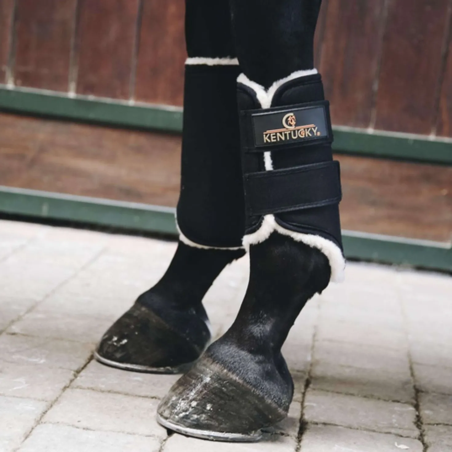 Kentucky Turnout Boots Solimbra Voorbenen Black