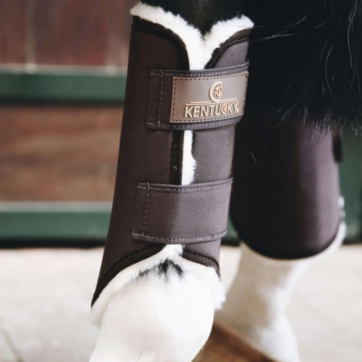 Kentucky Turnout Boots Solimbra Voorbenen Brown