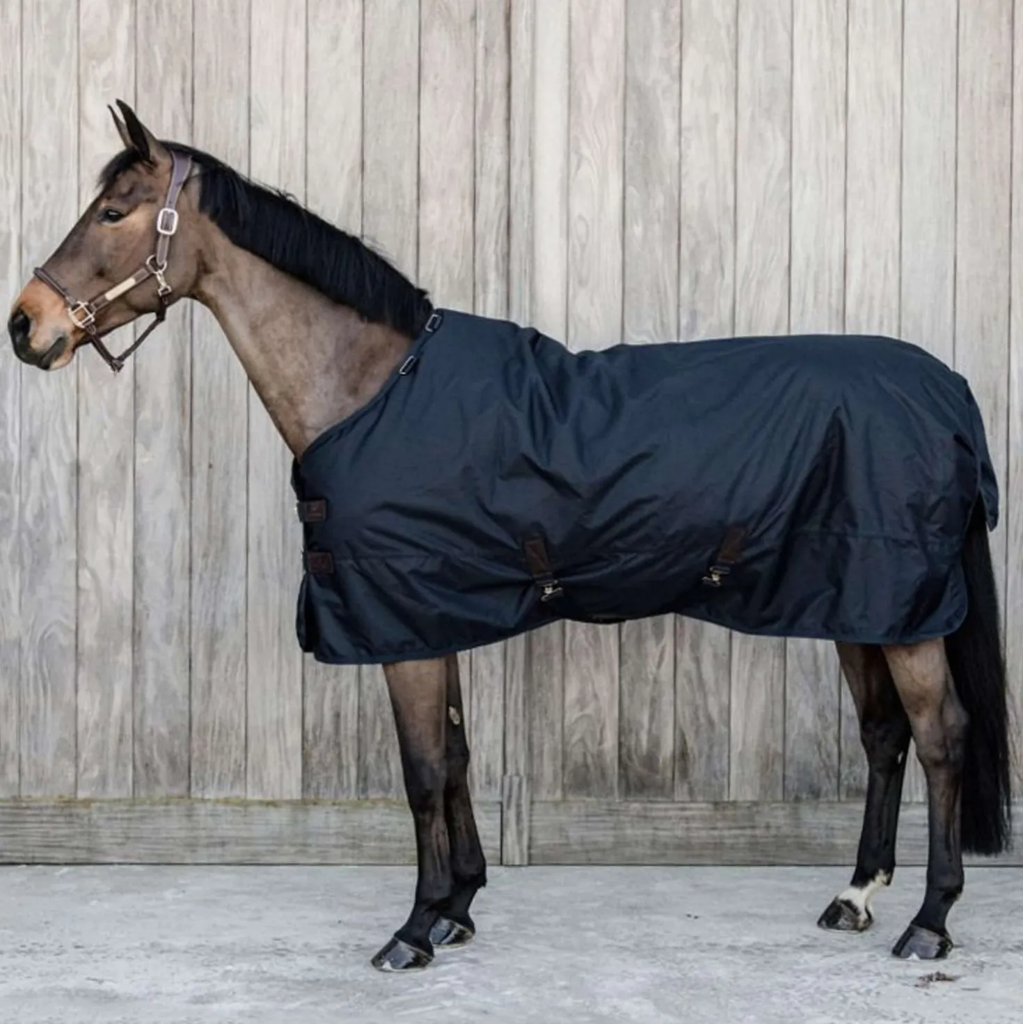 Kentucky Turnout Rug All Weather Waterproof Classic 0g Navy