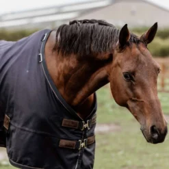 Kentucky Turnout Rug All Weather 0g Navy