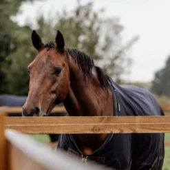 Kentucky Turnout Rug All Weather 0g Navy