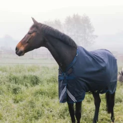 Kentucky Turnout Rug All Weather Comfort Waterproof 0g Navy