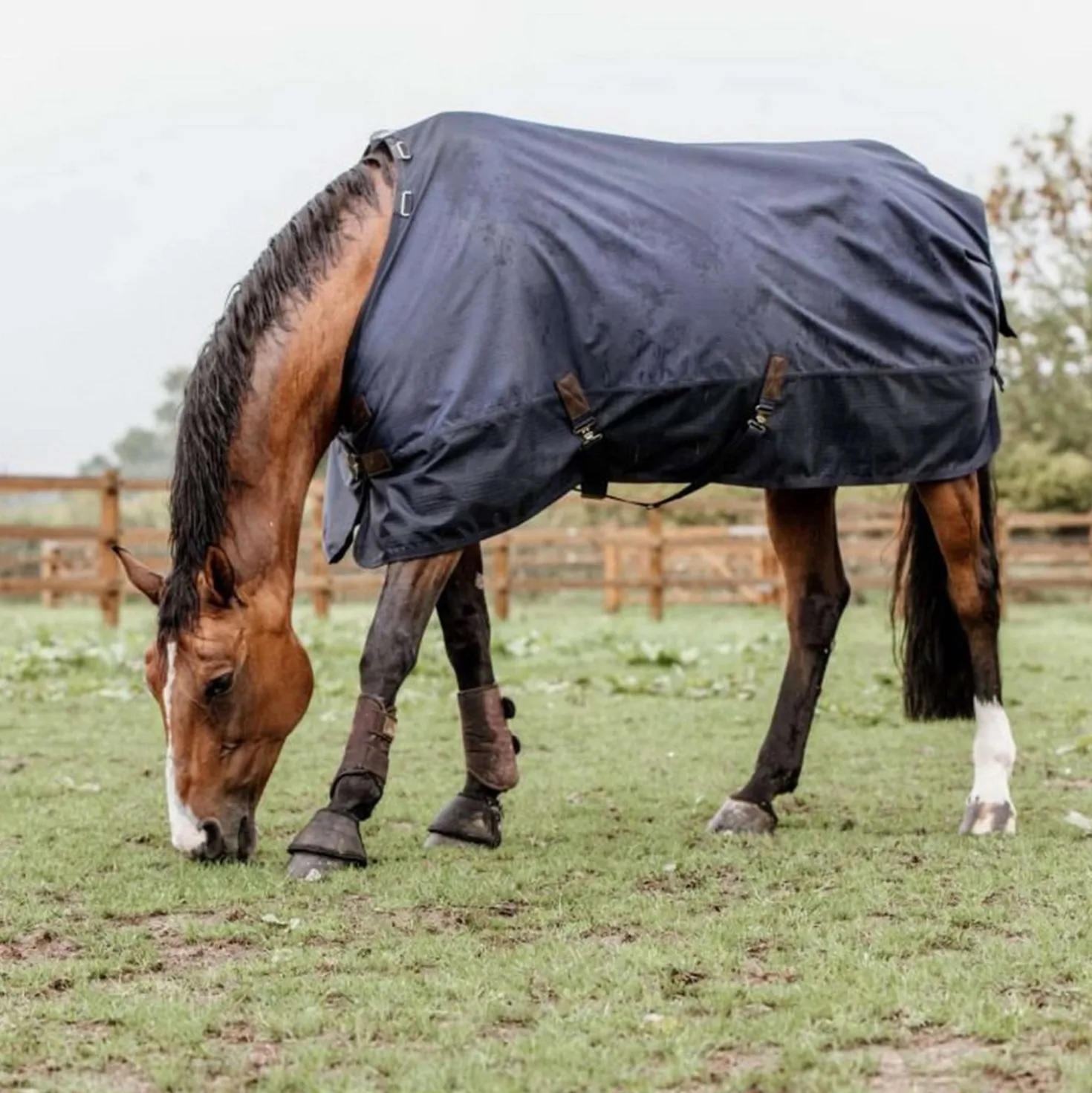 Kentucky Turnout Rug All Weather Waterproof Pro 0g Navy