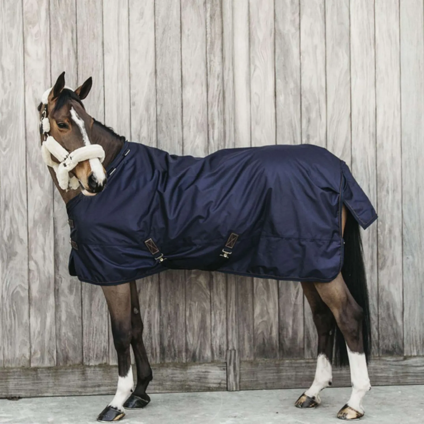 Kentucky Turnout Rug All Weather Waterproof Pro 0g Navy