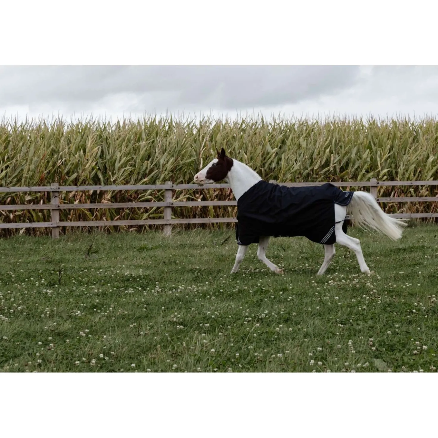 Kentucky Turnout Rug All Weather Comfort Waterproof 100g Zwart