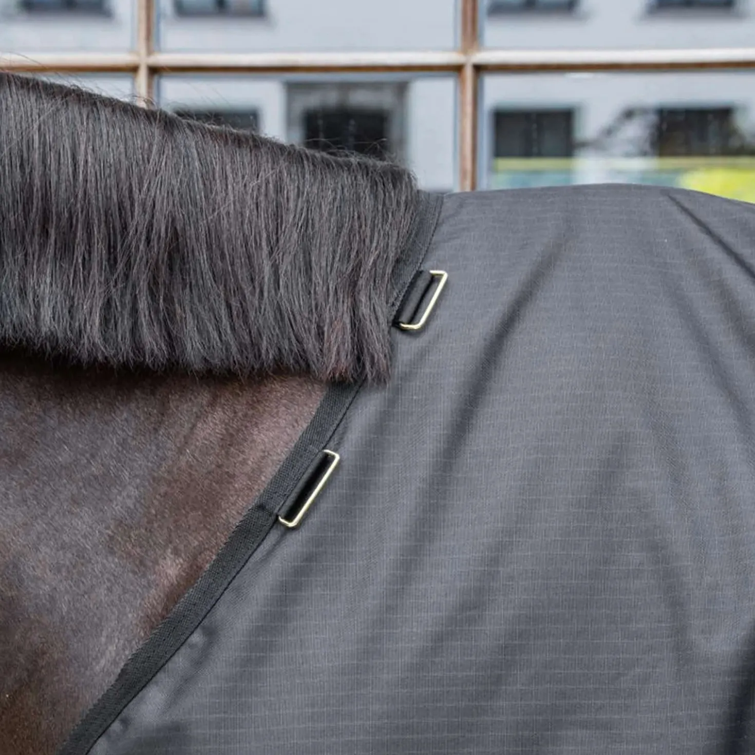 Kentucky Turnout Rug All Weather Waterproof Classic 50g Zwart