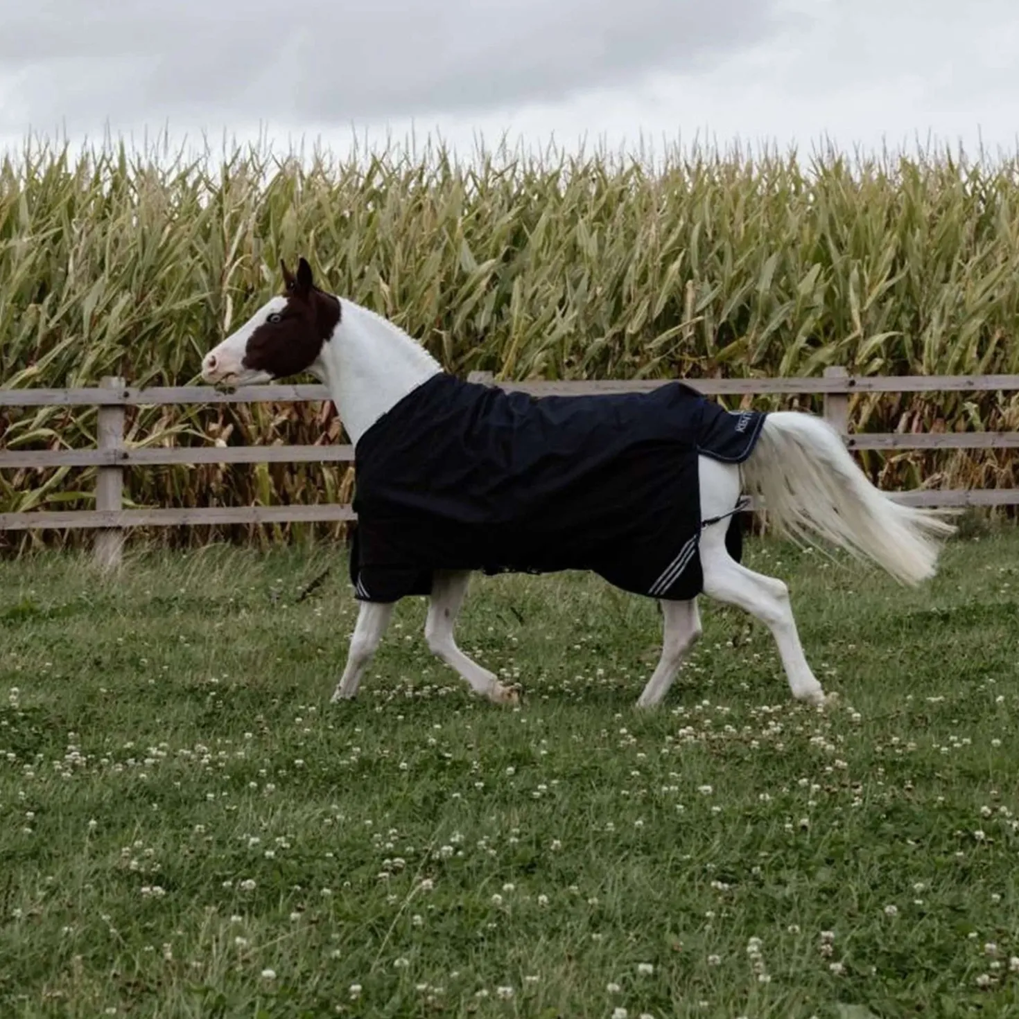 Kentucky Turnout Rug All Weather Comfort Waterproof 300g Zwart