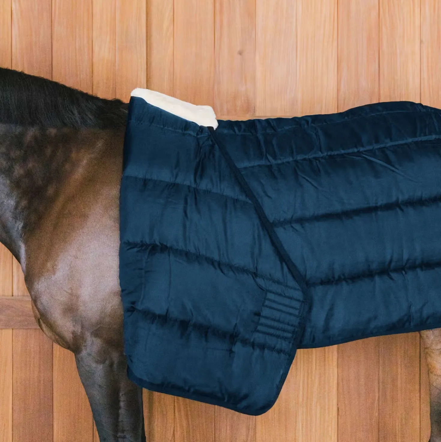 Kentucky Turnout Rug Comfort Liner 200g Navy