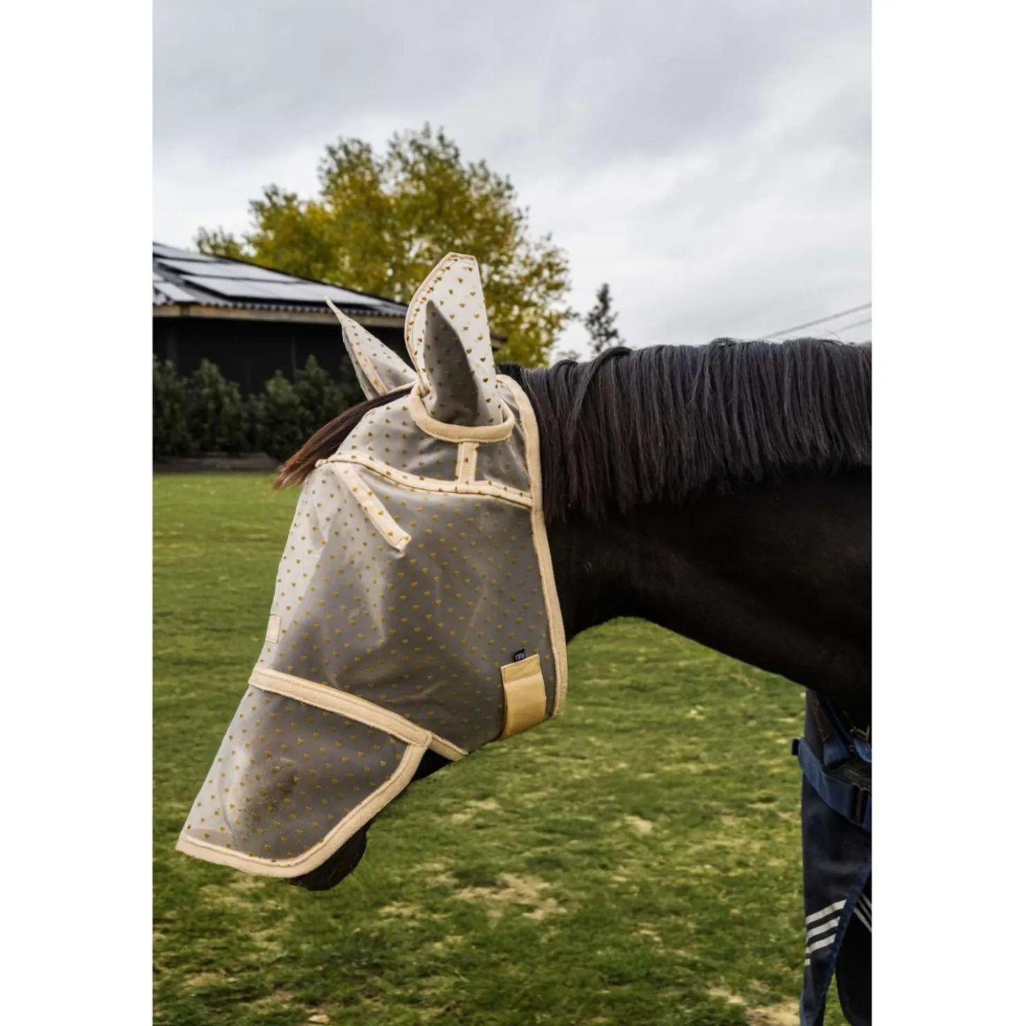 Kentucky Vliegenmasker Heart met Oren en Neus Beige