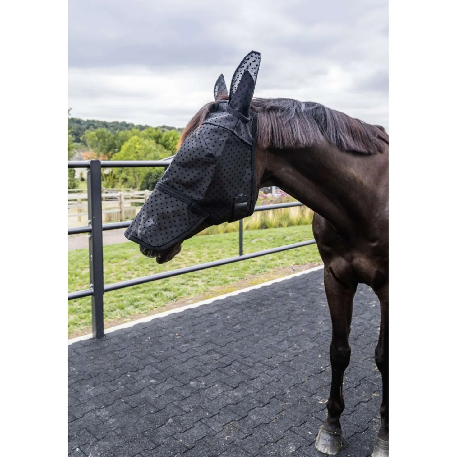 Kentucky Vliegenmasker Heart met Oren en Neus Zwart