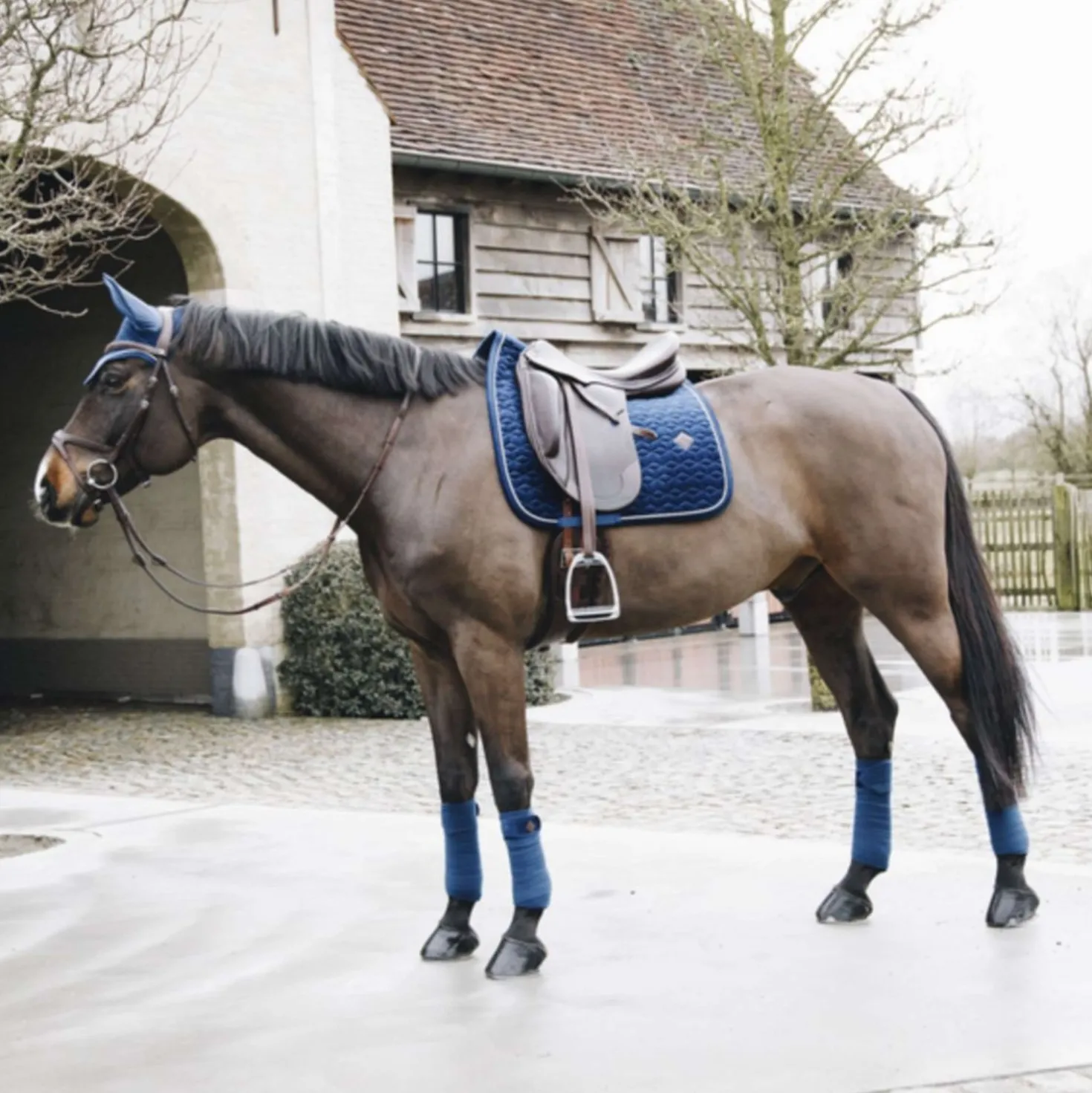 Kentucky Zadeldekje Basic Velvet Dressuur Navy