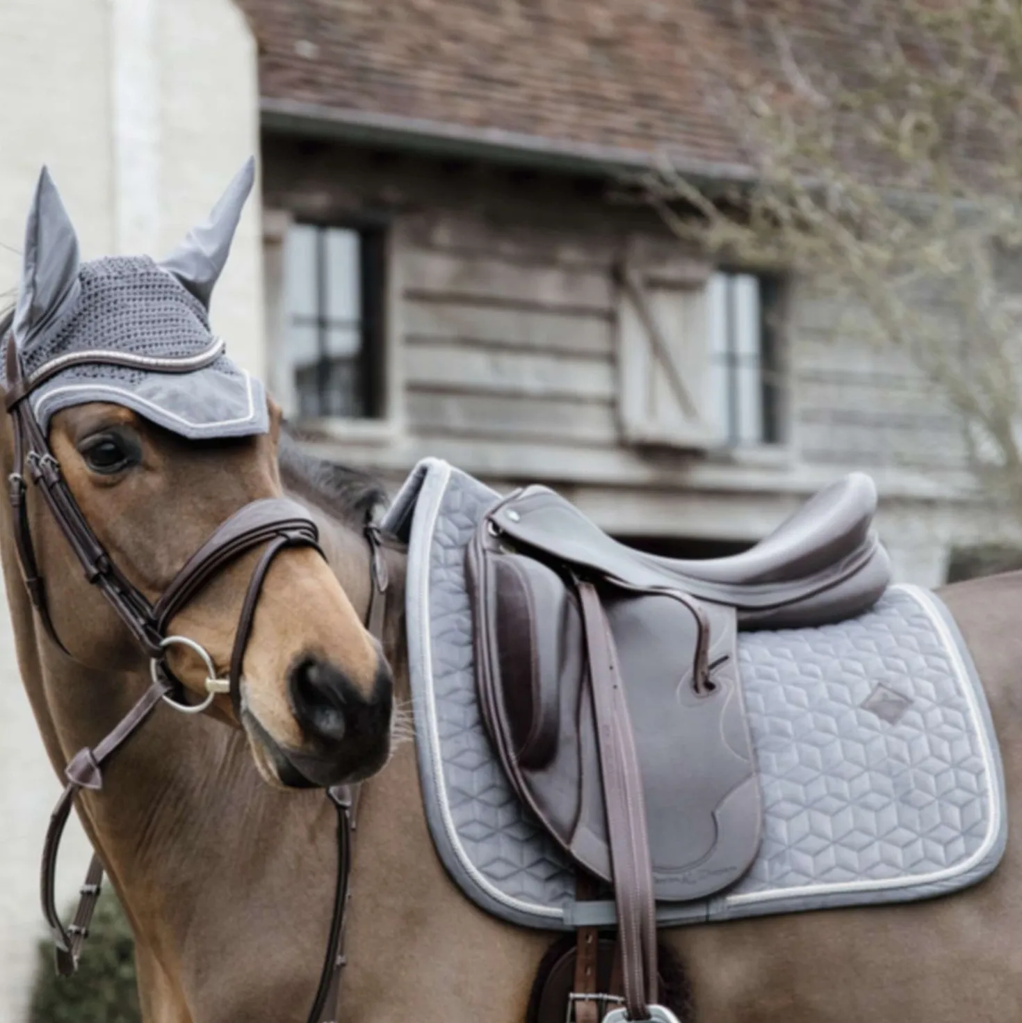 Kentucky Zadeldekje Basic Velvet Dressuur Grijs