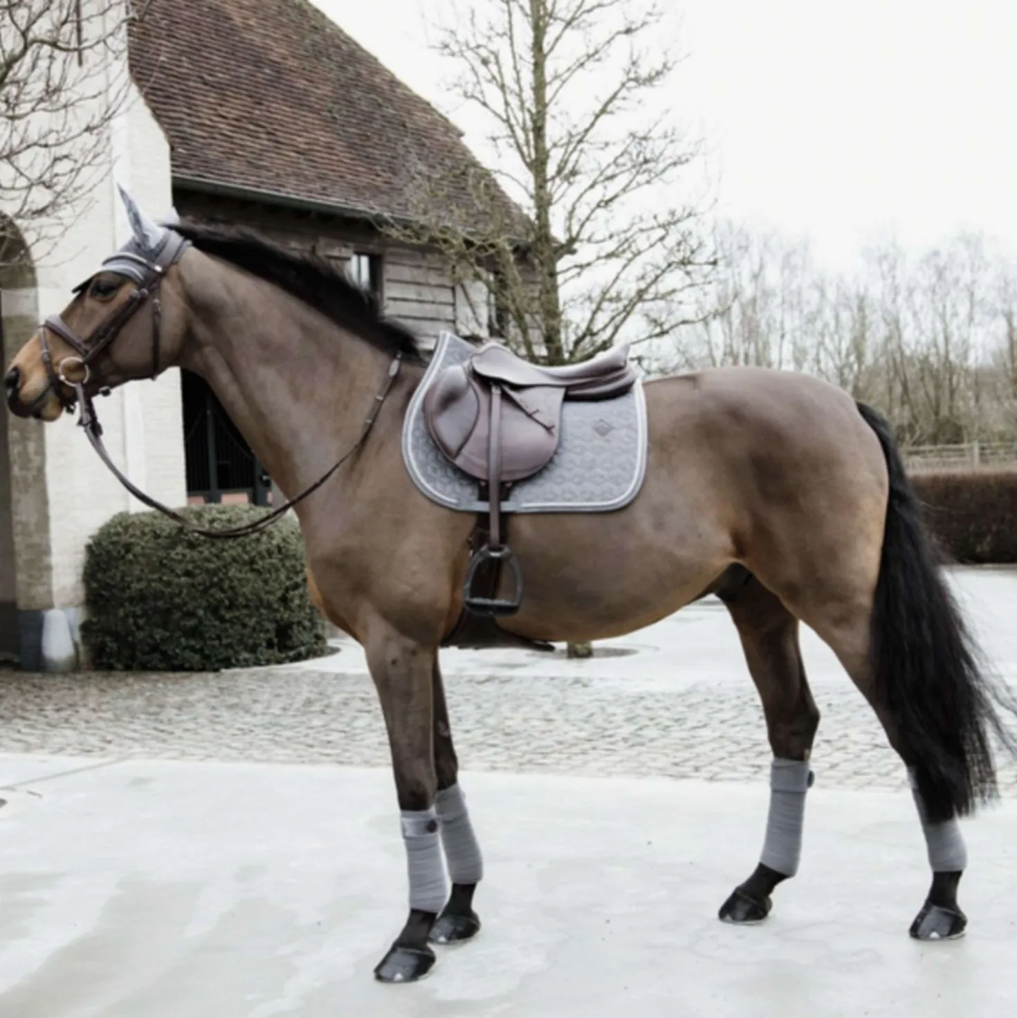 Kentucky Zadeldekje Basic Velvet Springen Grijs