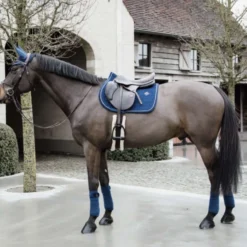 Kentucky Zadeldekje Basic Velvet Springen Navy