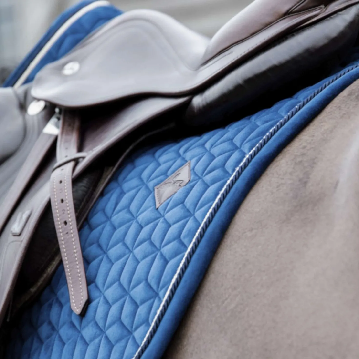 Kentucky Zadeldekje Basic Velvet Springen Navy