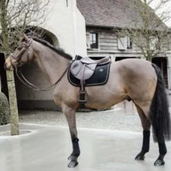 Kentucky Zadeldekje Basic Velvet Springen Zwart