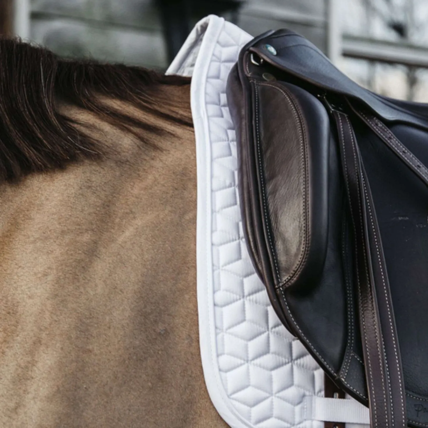 Kentucky Zadeldekje Classic Dressuur Wit