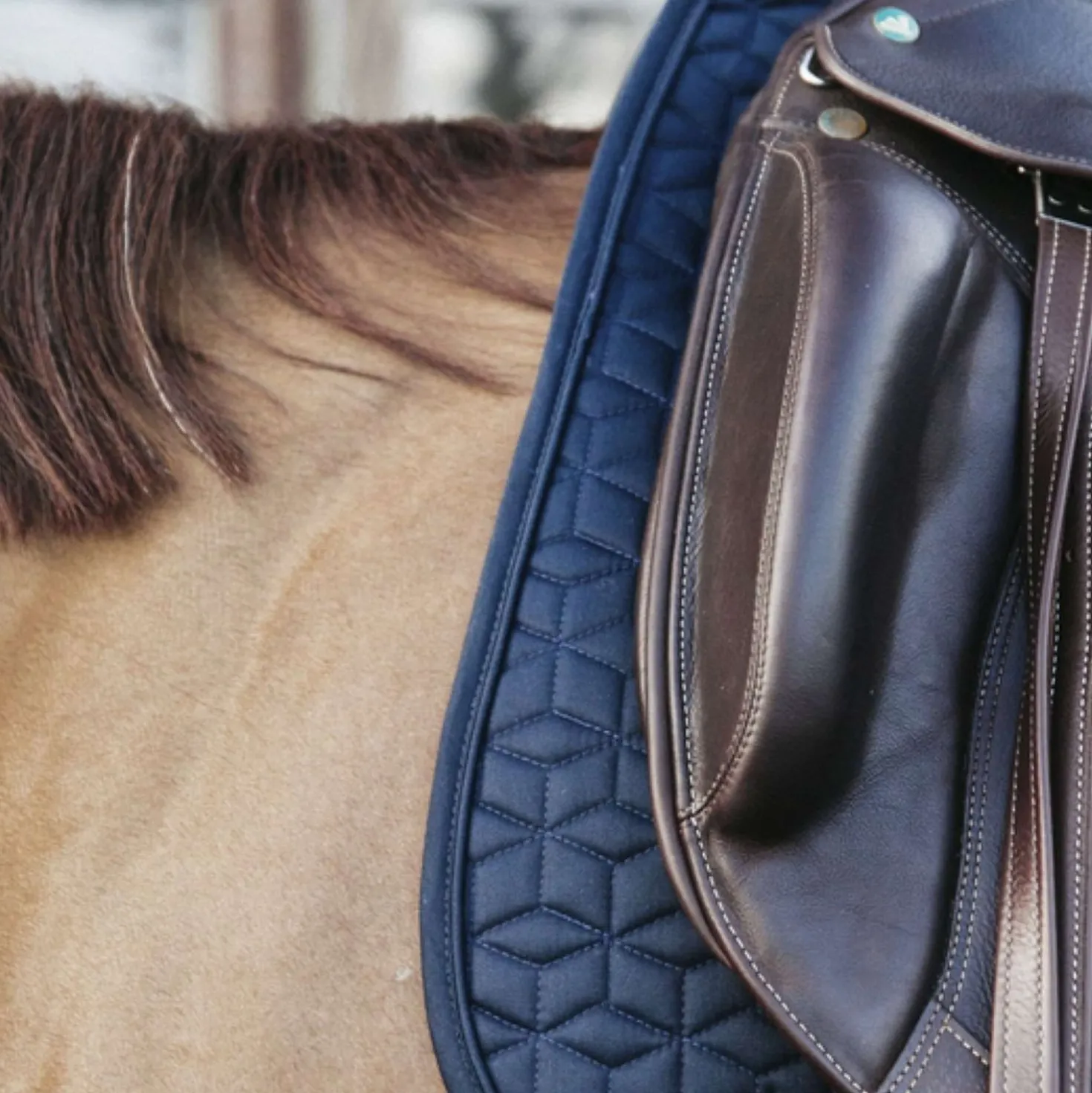 Kentucky Zadeldekje Classic Dressuur Navy