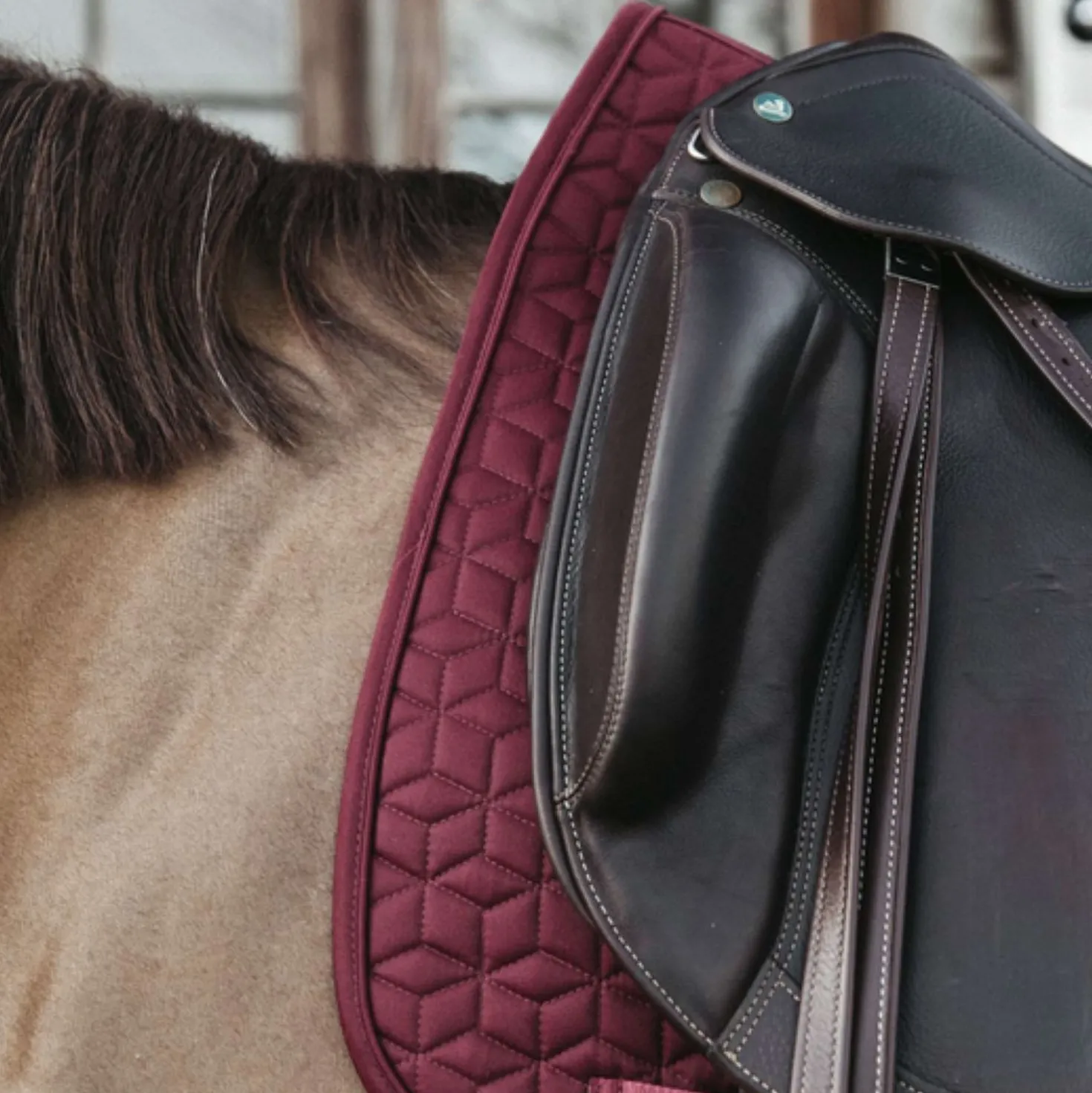 Kentucky Zadeldekje Classic Dressuur Bordeaux