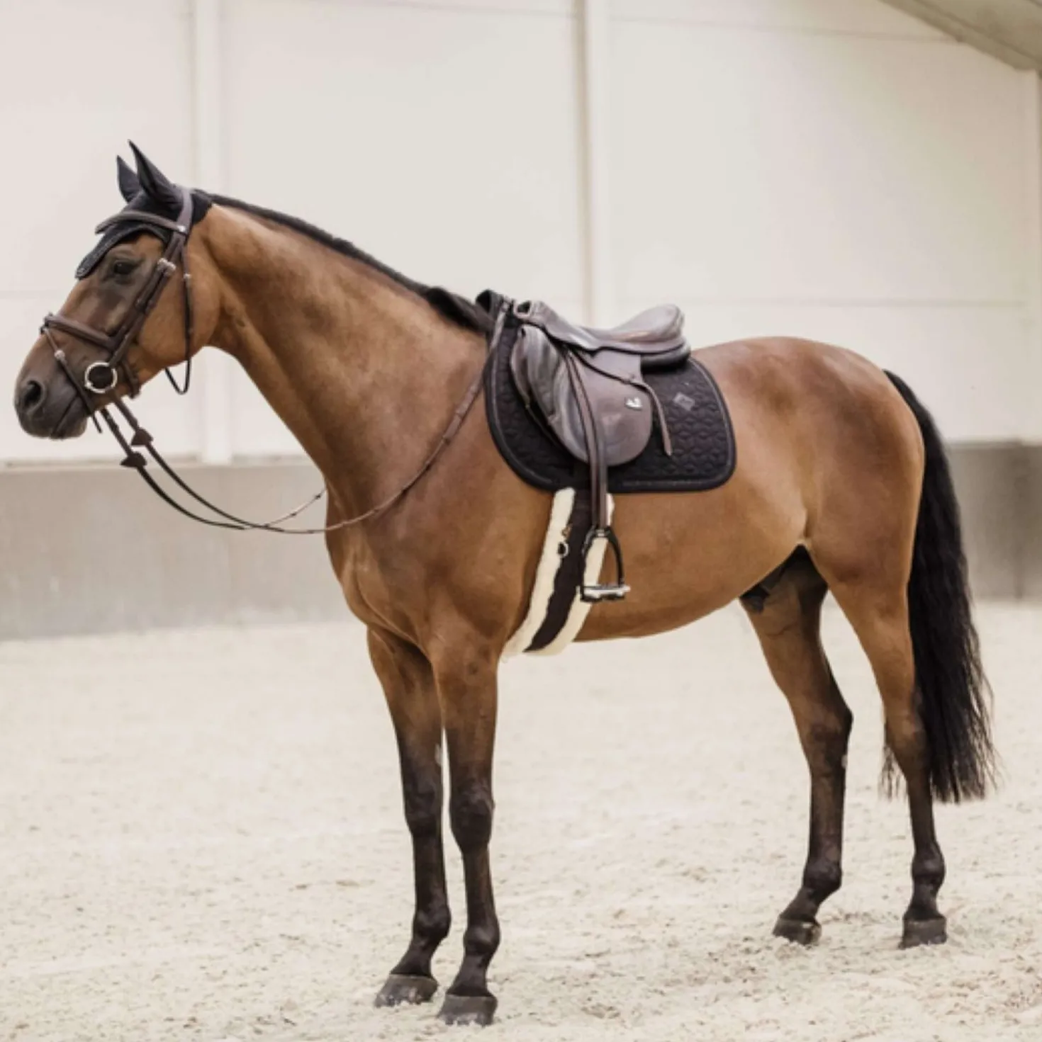 Kentucky Zadeldekje Glitter Rope Springen Zwart