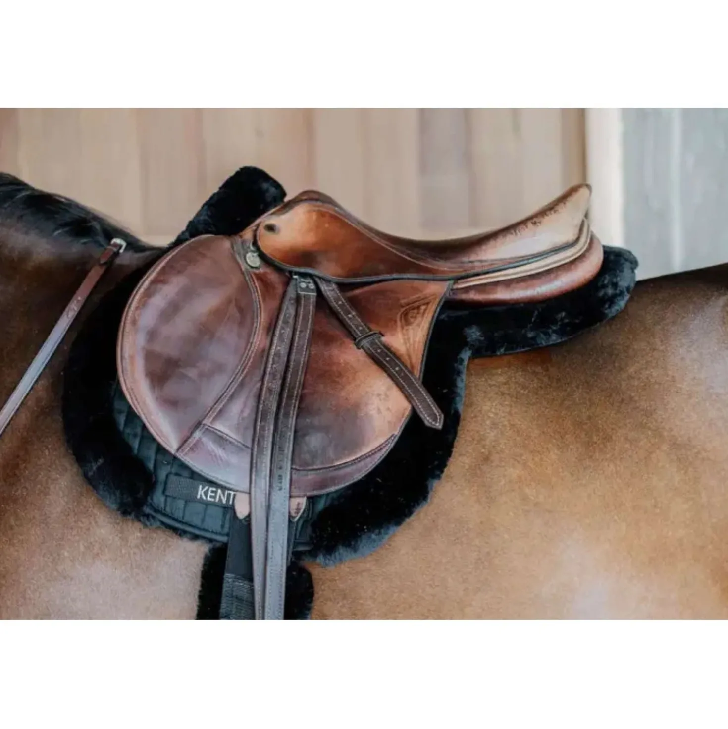 Kentucky Zadeldekje Hunter Wol Springen Zwart