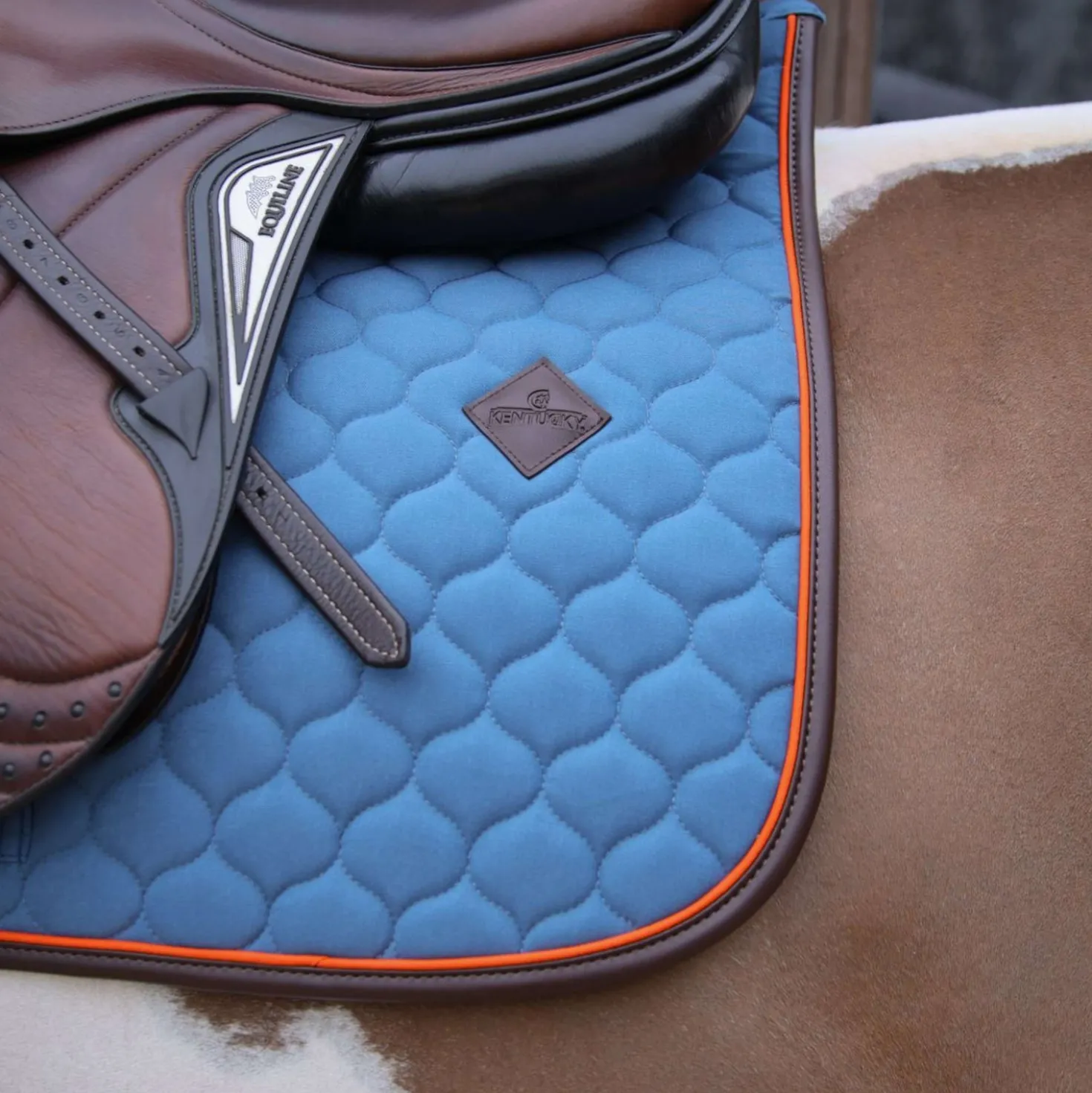 Kentucky Zadeldekje Onion Quilt Leather Neon Springen Blauw