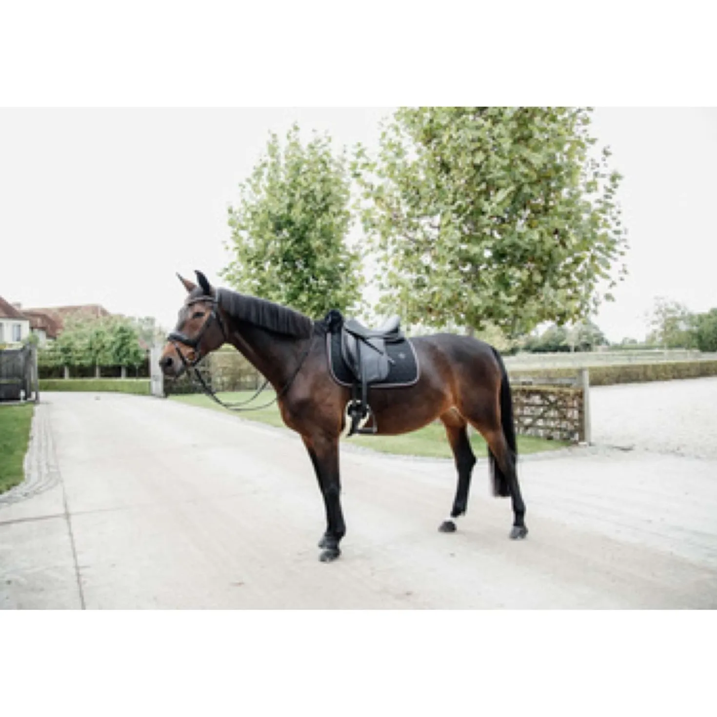Kentucky Zadeldekje Skin Friendly Dressuur Zwart
