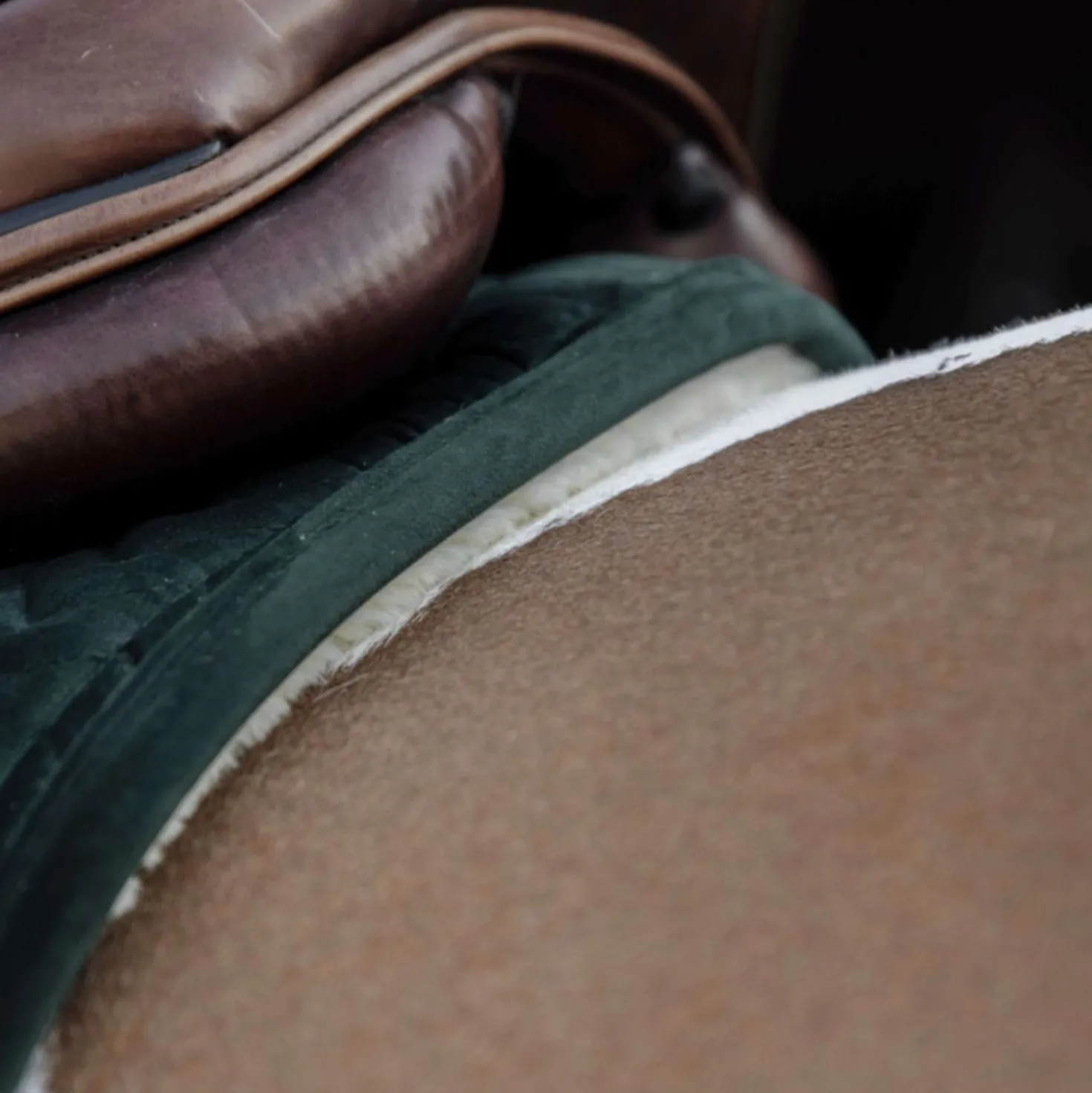 Kentucky Zadeldekje Skin Friendly Velvet Springen Pine Green
