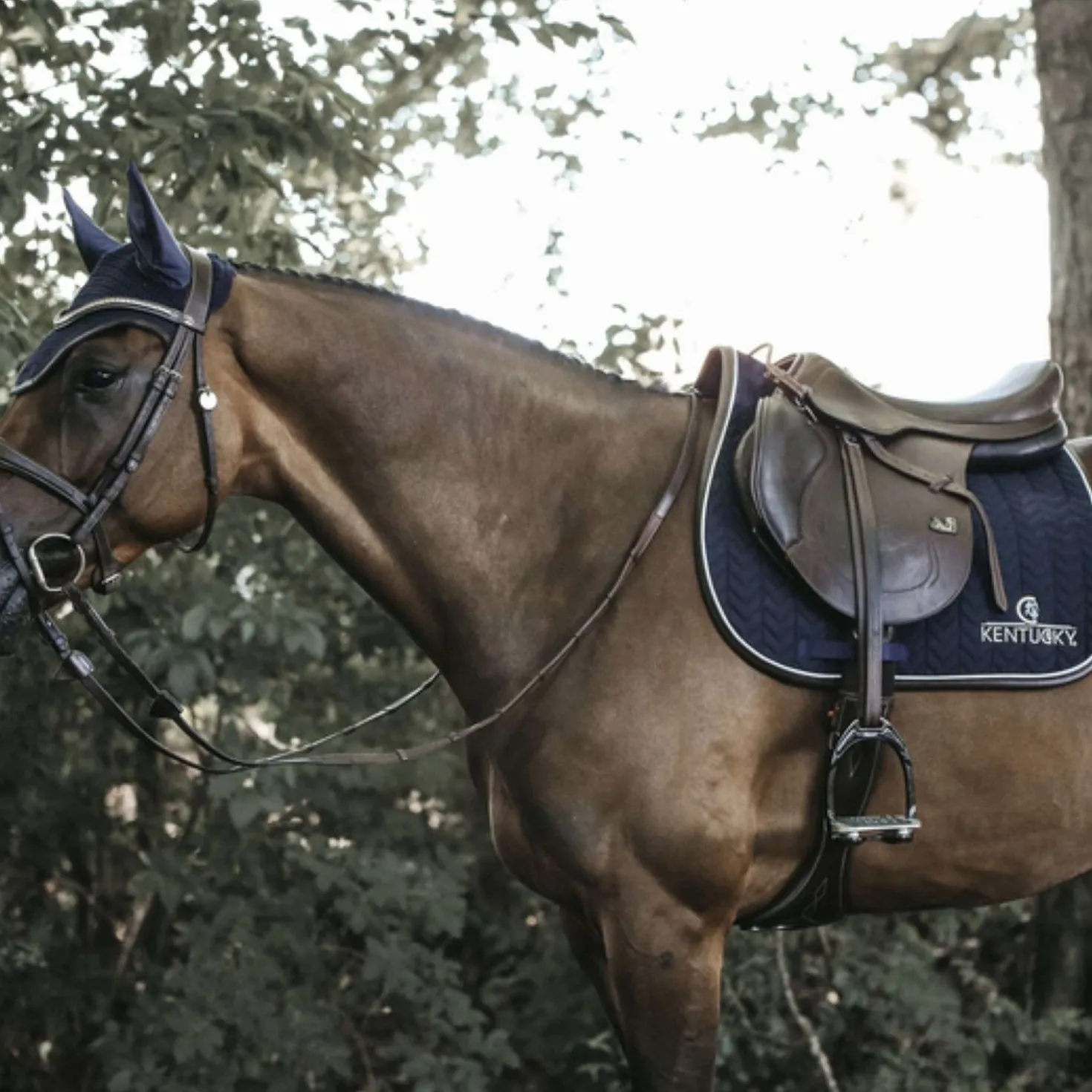 Kentucky Zadeldekje Springen Fishbone Leather Navy