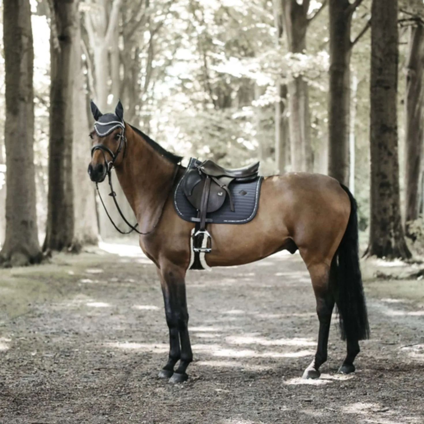 Kentucky Zadeldekje Springen Pearls Grey