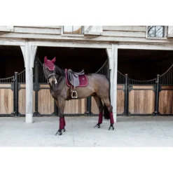Kentucky Zadeldekje Velvet Dressuur Bordeaux