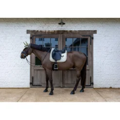 Kentucky Zadeldekje Velvet Horse Printing Dressuur Beige