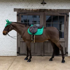 Kentucky Zadeldekje Velvet Horse Printing Springen Groen